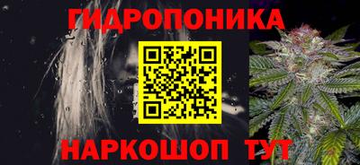 стафф Новодвинск