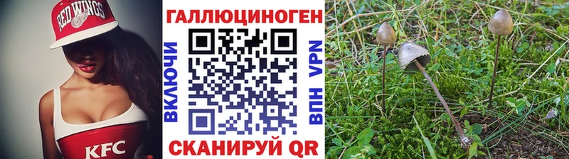 наркотики  Павлово  Псилоцибиновые грибы MAGIC MUSHROOMS 