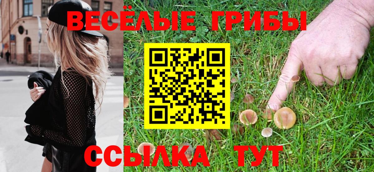 Псилоцибиновые грибы Magic Shrooms Павлово