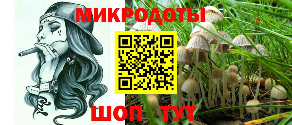 Павлово  Псилоцибиновые грибы мицелий  Вход с VPN 